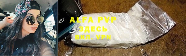 амф Алексин
