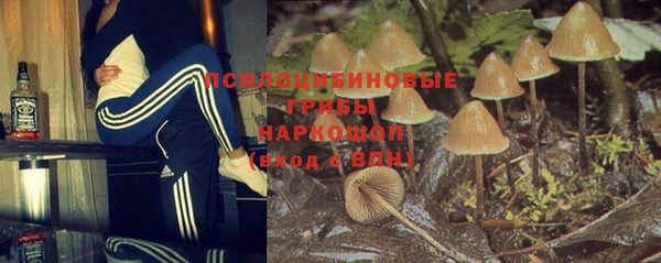 амф Алексин